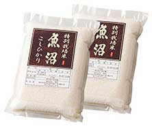 魚沼産特別栽培米こしひかり