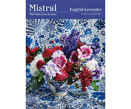 選べるギフト Mistral(ミストラル) ＜English Lavender(ｲﾝｸﾞﾘｯｼｭﾗﾍﾞﾝﾀﾞｰ)＞